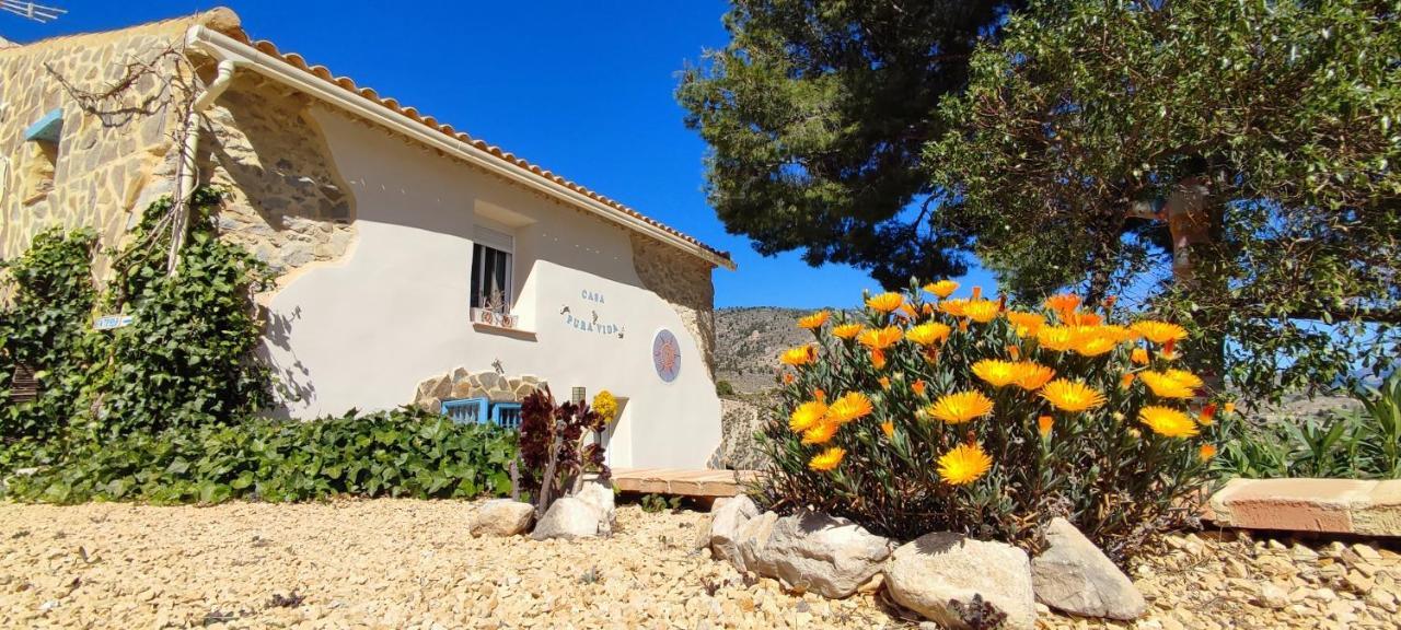 Casa Pura Vida Bed and Breakfast Relleu Exteriör bild